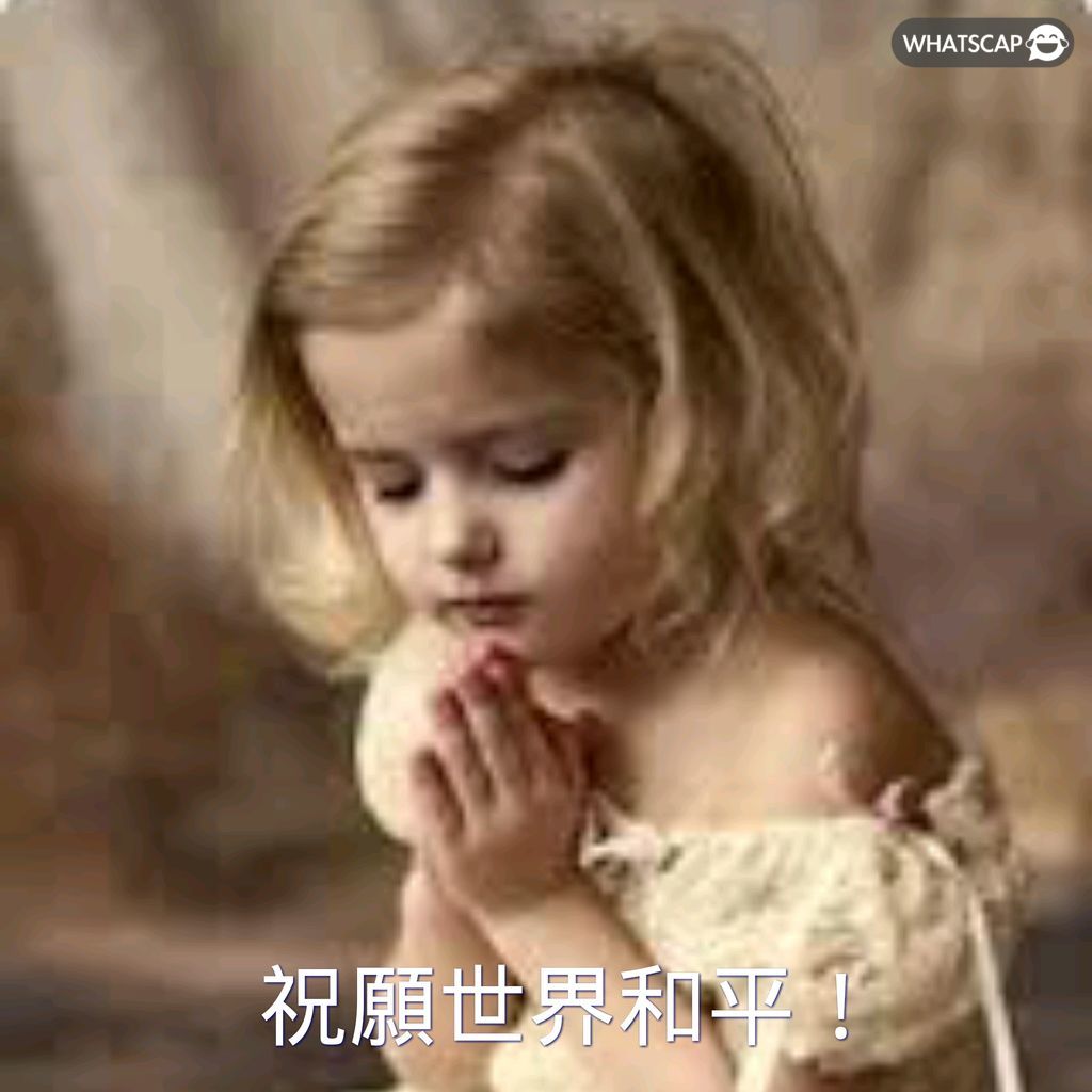 塔利亚菲科,表现抢眼,次抢断,中欧体育,中欧体育入口,中欧体育平台,中欧体育官方