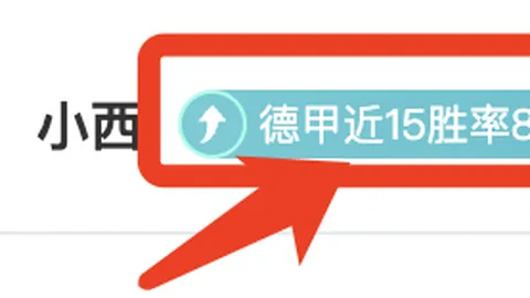 梅德韦杰夫鹿特丹ATP500赛爆冷出局